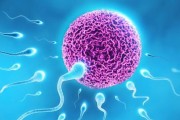 精子擦干可以受孕吗？